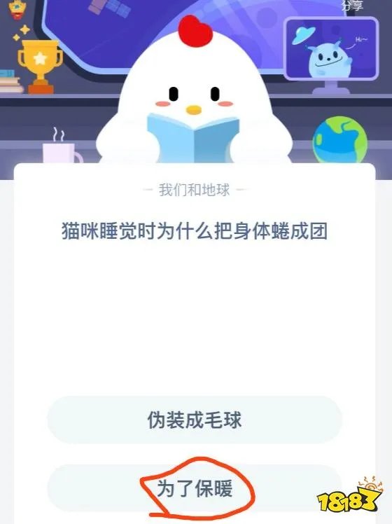 猫咪睡觉时为什么把身体蜷成团 一起来看看答案吧