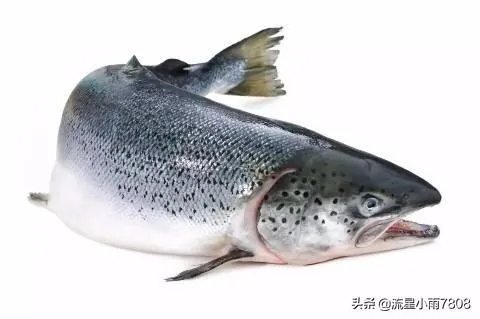 三文鱼成为新疫情“关键”。它的来源该怎样追踪?