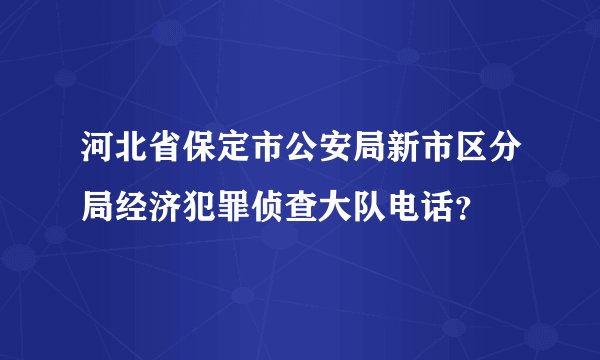 河北省保定市公安局新市区分局经济犯罪侦查大队电话？