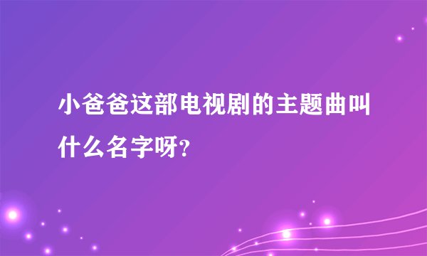 小爸爸这部电视剧的主题曲叫什么名字呀？