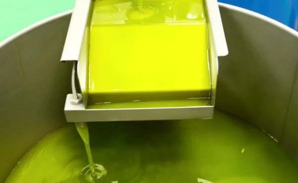 进口橄榄油和国产橄榄油的区别在哪里？