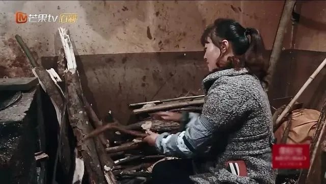 如何看待《变形计之平行世界》？