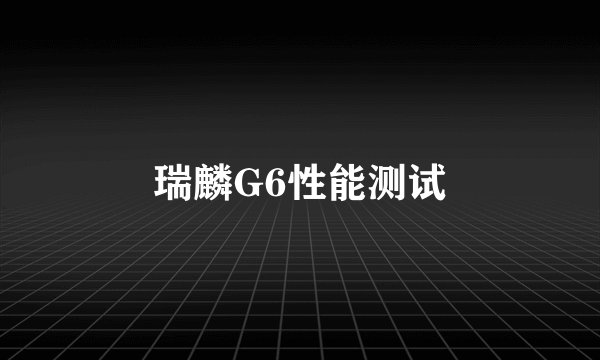 瑞麟G6性能测试