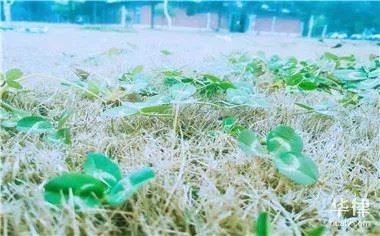 用人单位倒闭劳务派遣工被辞退如何赔偿