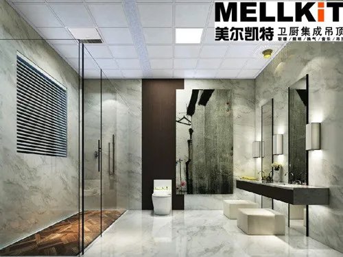 集成吊顶品牌排行榜 十大集成吊顶品牌介绍