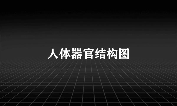 人体器官结构图