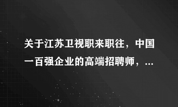 关于江苏卫视职来职往，中国一百强企业的高端招聘师，里面有个叫朴蕊的大姐，她是一家什么公司？