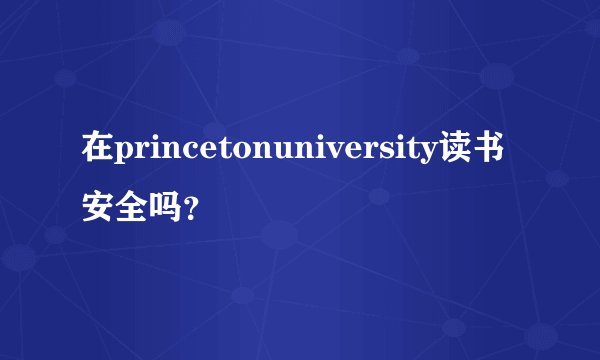 在princetonuniversity读书安全吗？