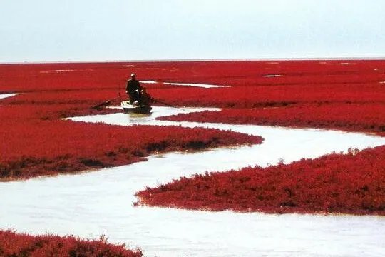 求盘锦旅游景点大全排名，哪些比较推荐？