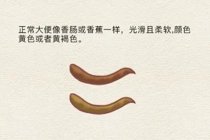 正常大便颜色和形状图