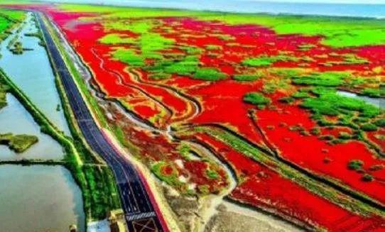 求盘锦旅游景点大全排名，哪些比较推荐？