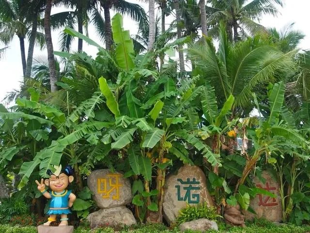 怎样用导航在三亚市内游览？