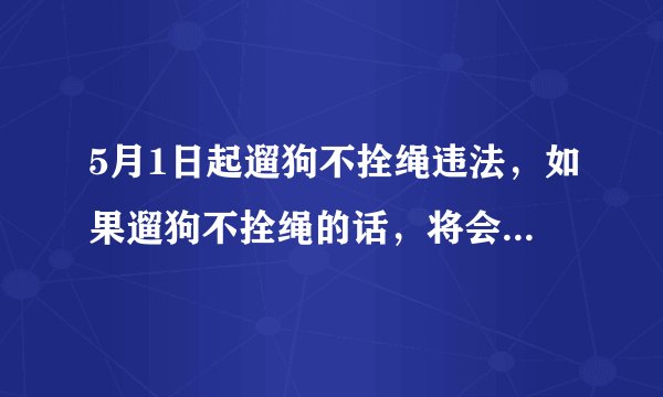 5月1日起遛狗不拴绳违法，如果遛狗不拴绳的话，将会受到哪种处罚？