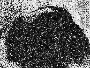 铸造石墨粉的用途