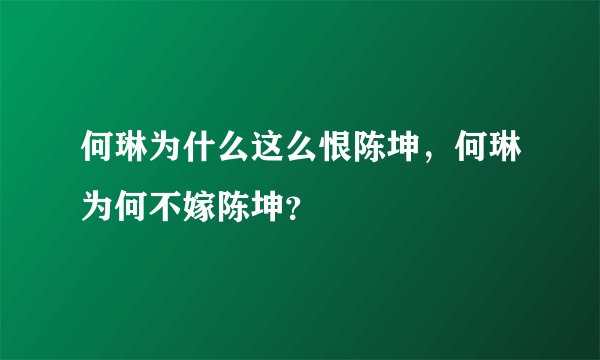 何琳为什么这么恨陈坤，何琳为何不嫁陈坤？
