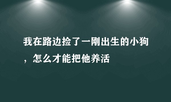 我在路边捡了一刚出生的小狗，怎么才能把他养活