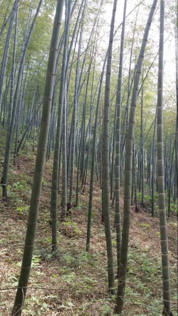 江苏有哪些好玩的地方？