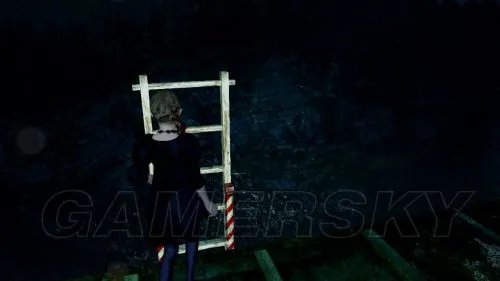 生化危机启示录2 第四章图文攻略 第四章图文流程攻略