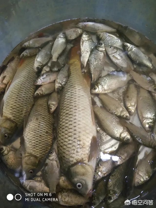 哪里有比较幽静的钓鱼的地方？