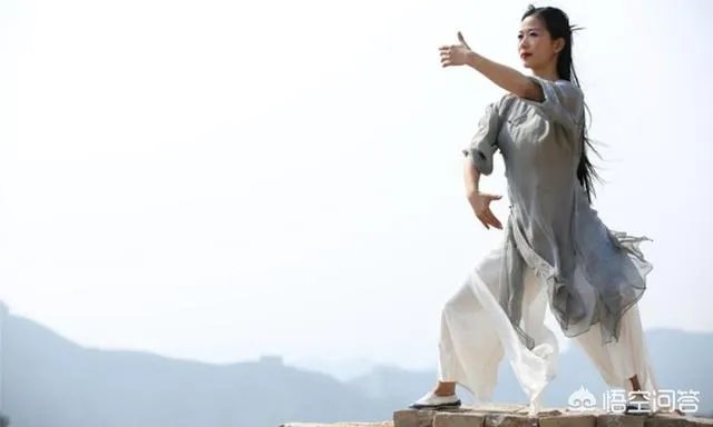 如何评价太极推手？