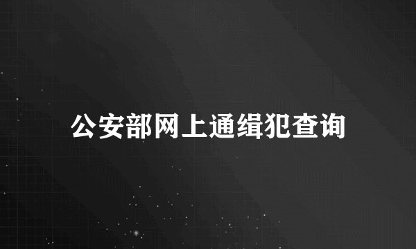 公安部网上通缉犯查询