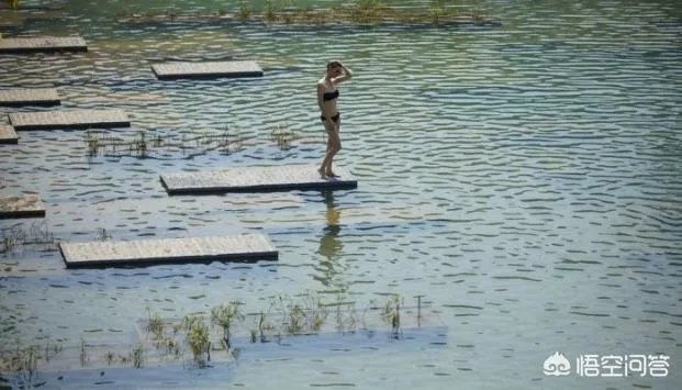 大东海区域的哪家酒店比较好？