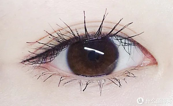 喵酱评测|14支睫毛膏，真人吐血测评！