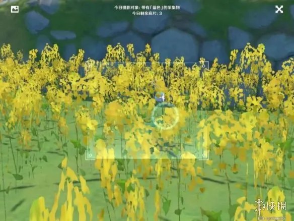 《原神手游》蓝色采集物有哪些 蓝色采集物拍摄位置介绍