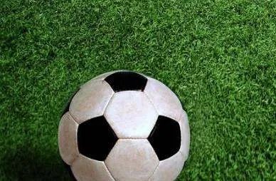 什么牌子的乒乓球发球机好用