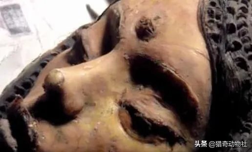 传闻月球三眼女尸是真是假,如果真的。那将说明什么?