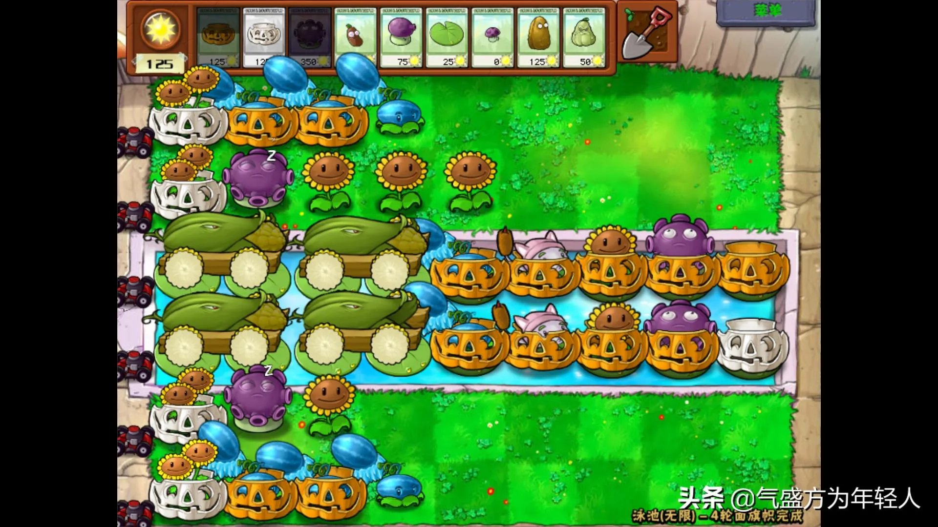 植物大战僵尸攻略大全图解（最佳阵型分析）