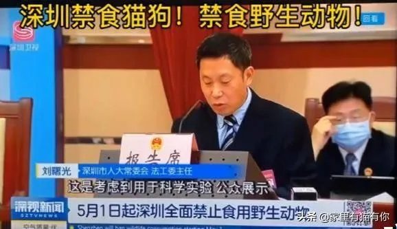 禁食猫狗是世界主流观念,文明的一种象征,我们国家可以禁食吗?