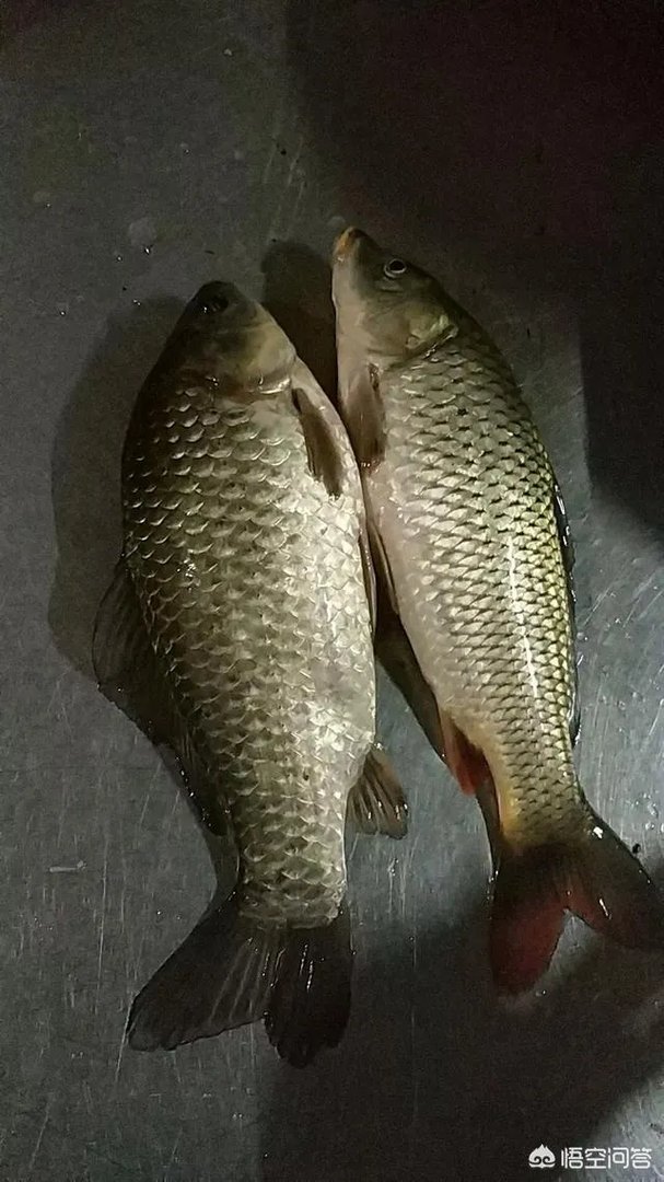 哪里有比较幽静的钓鱼的地方？