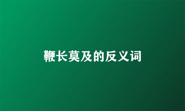 鞭长莫及的反义词