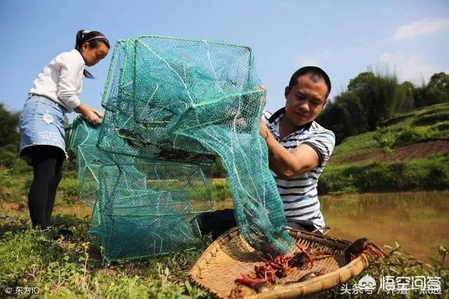 今后3年内，对于小龙虾养殖户来说，所要面对的市场风险与机遇有哪些？
