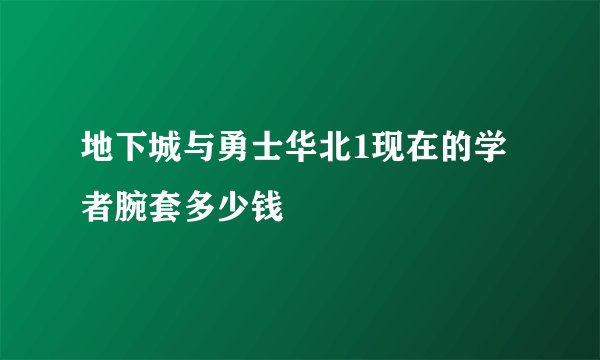 地下城与勇士华北1现在的学者腕套多少钱