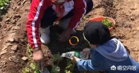 韩德君每场比赛都给观众鞠躬，夺冠后帮母亲下田种菜，你怎么看？