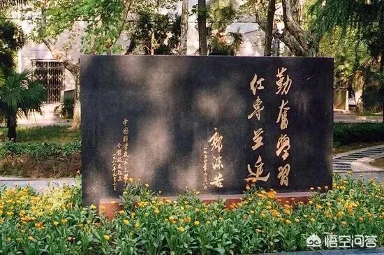 武汉大学在中国大学里能排第三吗?