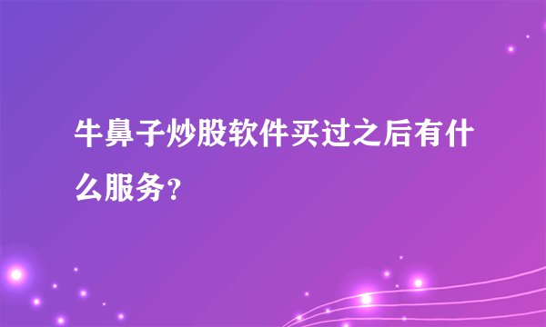牛鼻子炒股软件买过之后有什么服务？