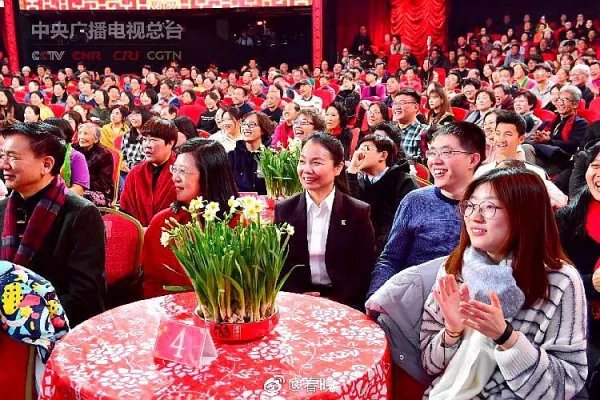 央视春晚，，湖南春晚，江苏春晚有什么分别啊，