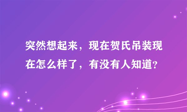 突然想起来，现在贺氏吊装现在怎么样了，有没有人知道？