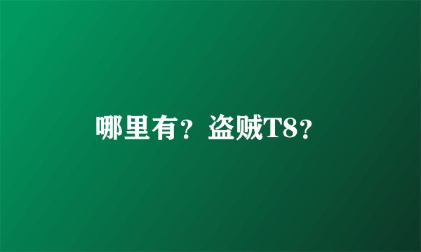 哪里有？盗贼T8？