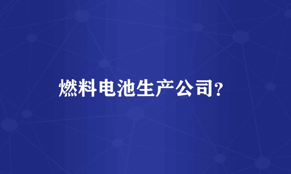 燃料电池生产公司？