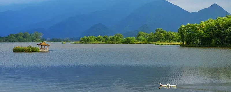 湿地又被称为什么 湿地被称为什么