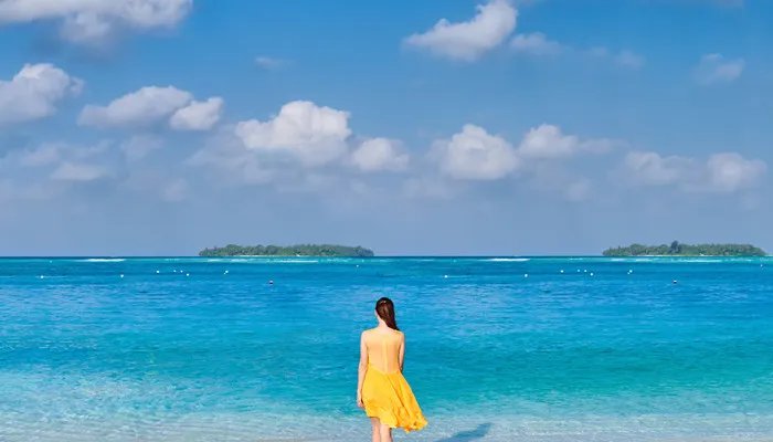 ol风格是什么意思 ol风格指什么