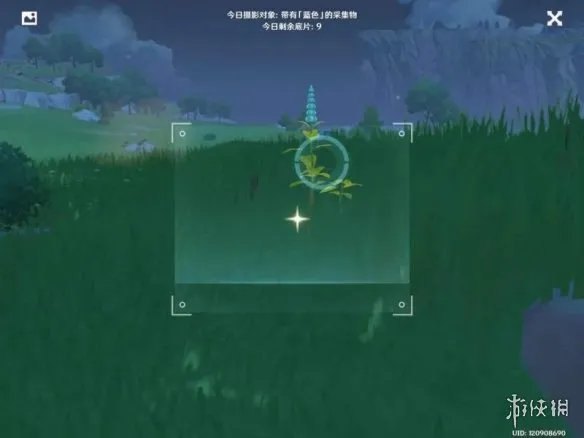 《原神手游》蓝色采集物有哪些 蓝色采集物拍摄位置介绍