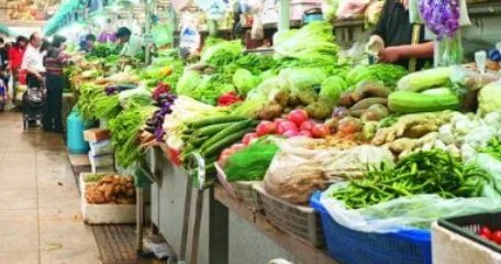 最忠诚的狗排名