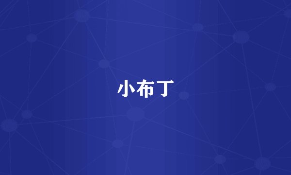 小布丁