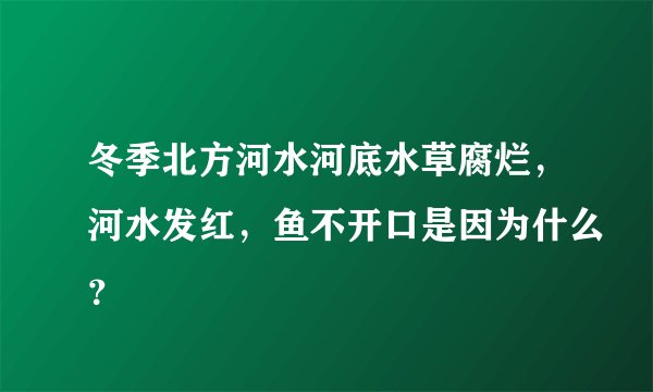 冬季北方河水河底水草腐烂，河水发红，鱼不开口是因为什么？