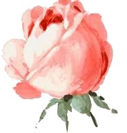 qq炫舞自定义情侣戒指透明图案